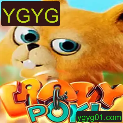 CrazyPoki: Um Mergulho nas Regras e Dinâmicas do Jogo Revolucionário